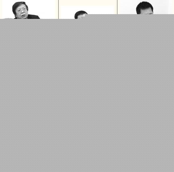 魏明伦、王仁杰、罗怀臻